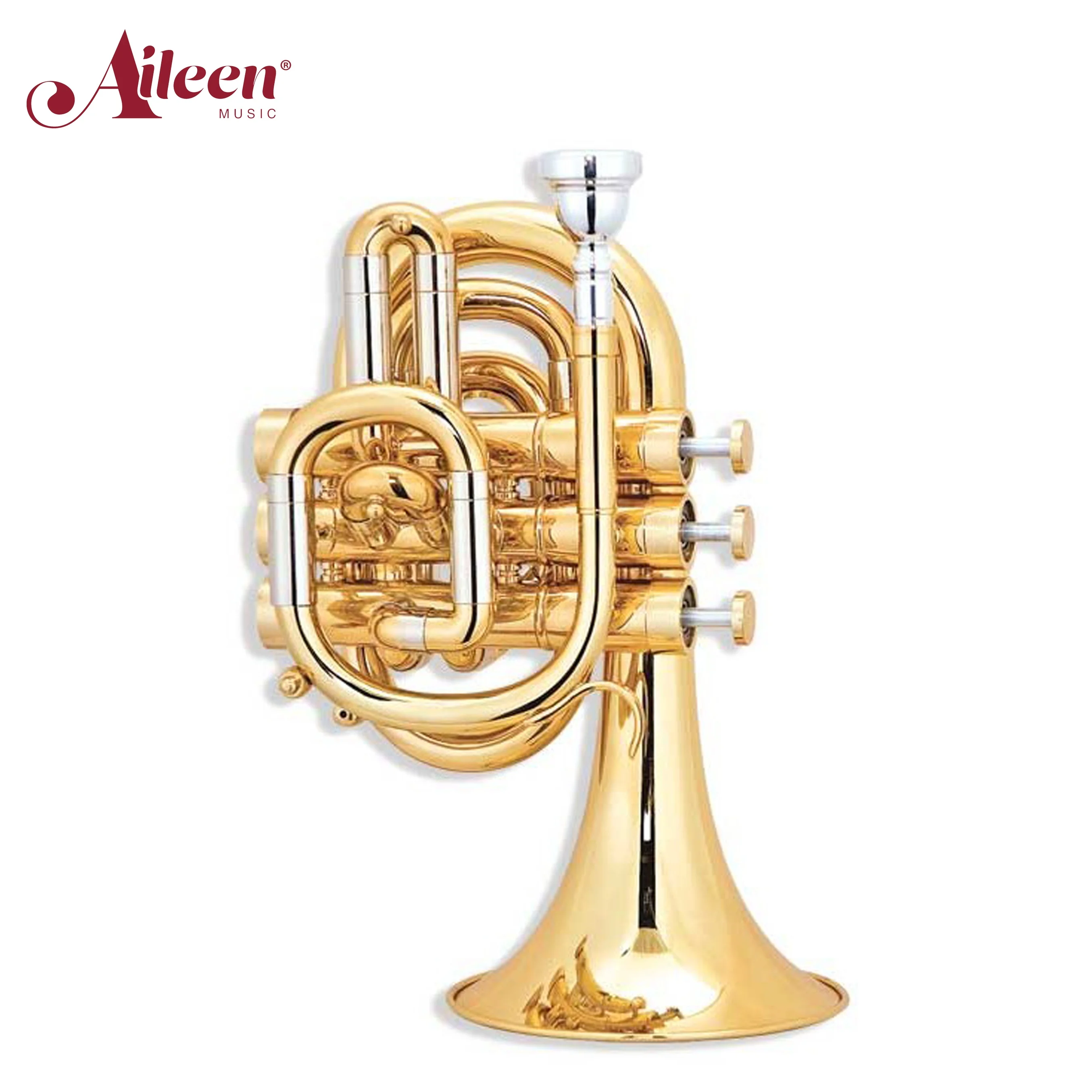 China Factory High Grade C Key Yellow Brass Pocket Trumpet (HTP-H460G-SYY)