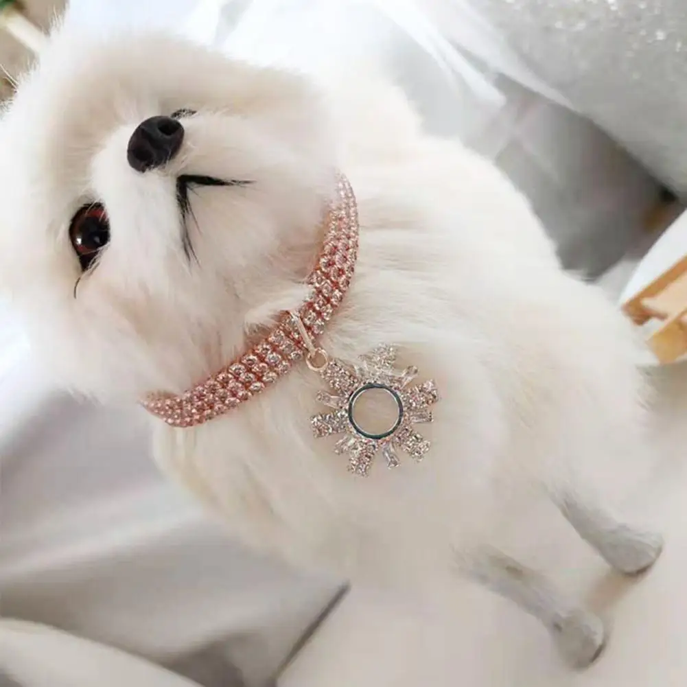 

Decorative Rhinestone Shiny Fine Texture Pet Collar for Photography