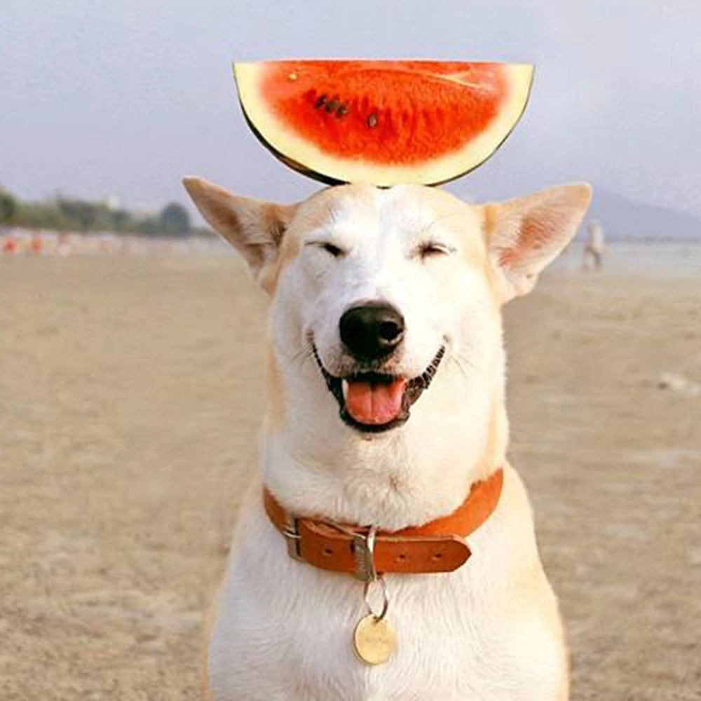 

Dog Plush Toys Cartoon Cute Fruit Shape Bite Resistant Squeaky Cat Fleece Toy Pet Chew Plush Puppy Toy Pet Interactive Supplies