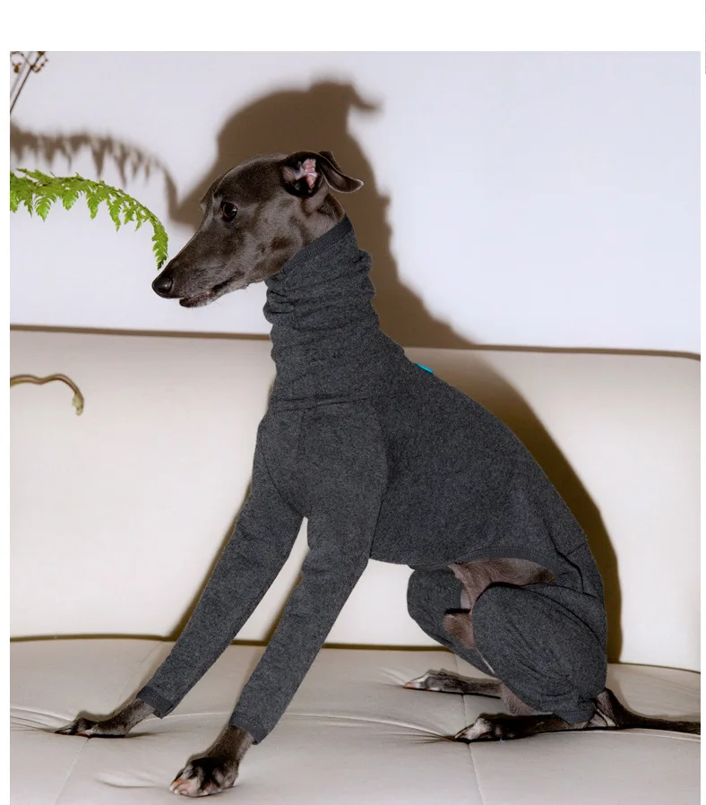 

Italian Greyhound Winter Basement Solid Color Warm Four-legged Whippet Turtle Collar Soft Dog Clothes grey