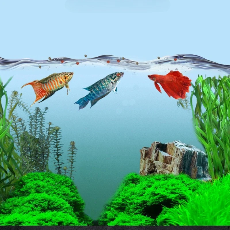 Кормные гранулы для тропических рыб Nai Chong Color Enhancing для Betta, Guppy, Angelfish, Neon Tetra & Zebra Danio, яркая формула роста (art.: 3920d031bb28a) - 3920d031bb28a