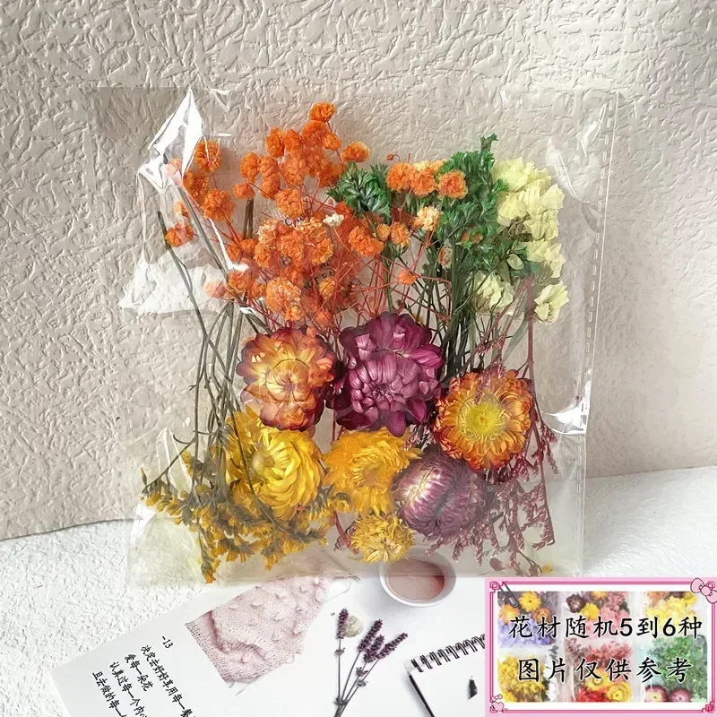 

Сухоцветы для УФ-смолы