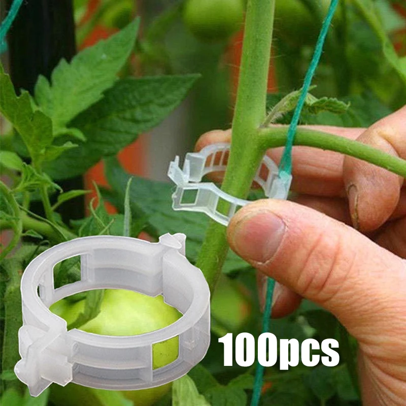 

50/ 100pcs Plant Support Clips for Garden Tomato Vegetable Vines Upright Clip Reusable Gardening Supplies Grafting Fixing Tools