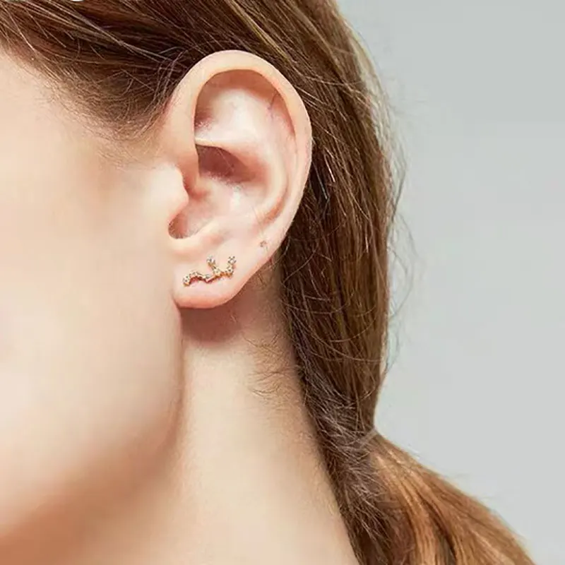 Twelve Constellations Ear Helix Piercing For Women Stainless Steel Cartilage Helix Lobe Piercing Earrings Girl Friendship Gift images - 6