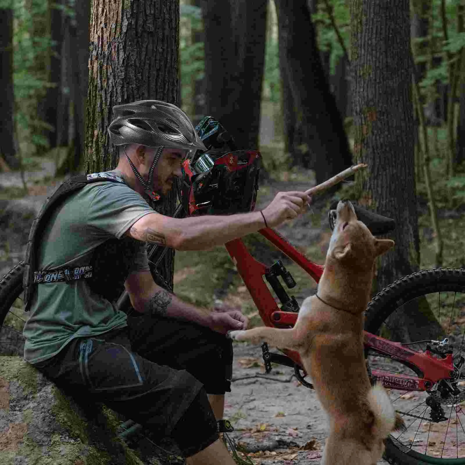 

Hard Hat Cycling Head Protector Outdoor Reusable Skateboard Bike Safety Work