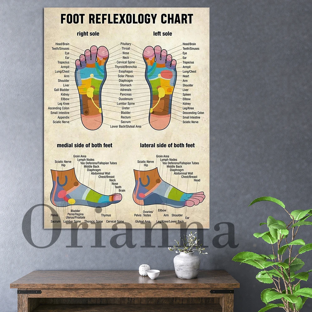 

Foot Reflexology Chart Poster, Vintage Massage Canvas Painting Poster Wall Art Print Masseur Gift