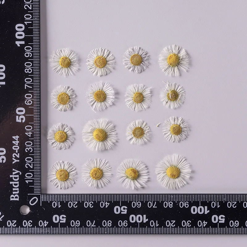 

2.5~4CM/36PC Natural Dried Flower Interior Mini Pressed White Feipeng Grass,Dry Erigeron Annuus Flowers Head For Resin Jewellery