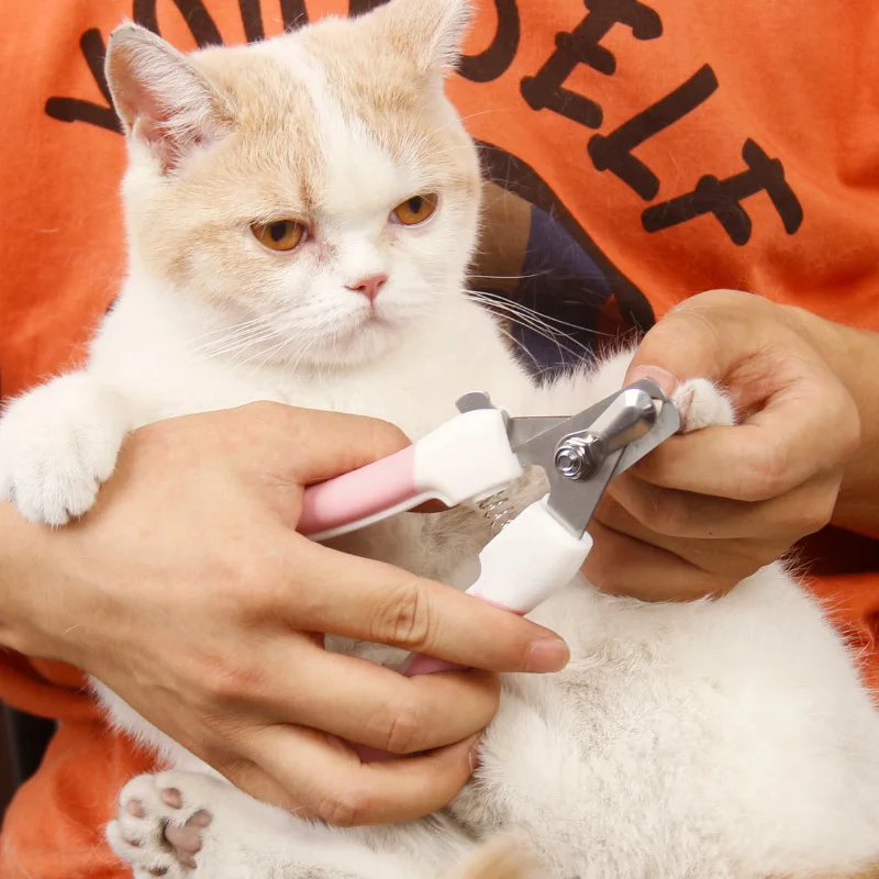 

Professional Pet Nail Clippers Grooming and Care Clipper Goods for Cats Dog Stainless Trimmer Convenient Claw Nail Clippers