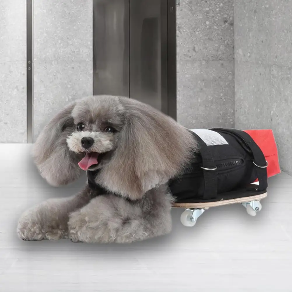 

Полезное восстановление тела, прочное движение, плавное движение, легкая поддержка, тележка для реабилитации, скейтборд для домашних животных с ограниченными возможностями, легкий