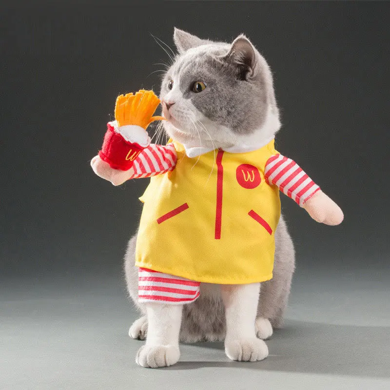 Кошечка с одеждой. Одежда для кошек. Костюмчики для котов. Кот в костюме. Костюм кошки.