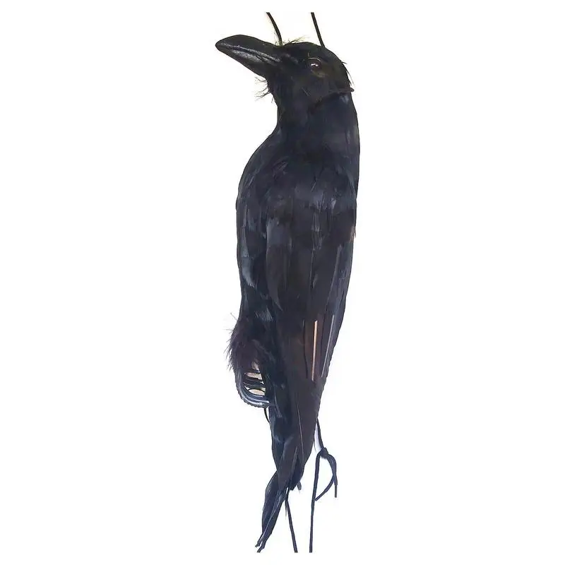 

Realistic Hanging Dead Crow 1 Pack Large Halloween Black Feathered Crow Decoys Ravens Outdoor Halloween Decorations Props Decor