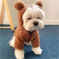 winter warm pet dog clothes ins cute bear fleece two feet hoodies teddy bichon small medium dogs fashion coats new year 2022