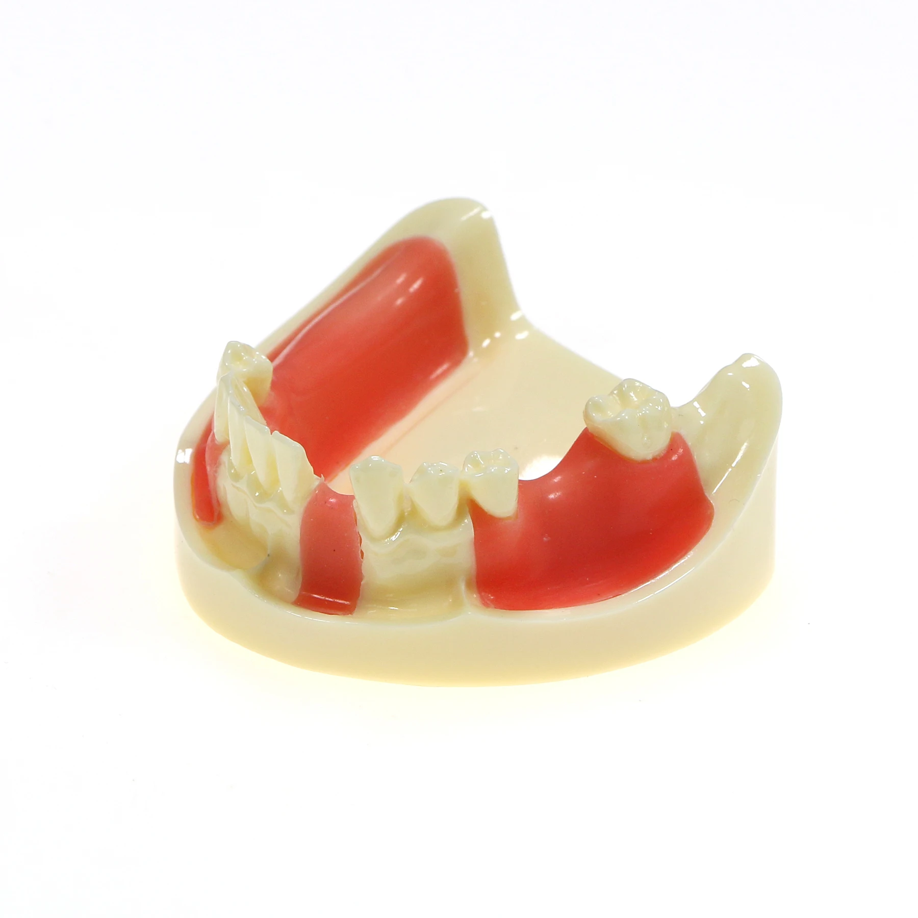 Съемная модель нижних зубных щеток Gingiva M2004