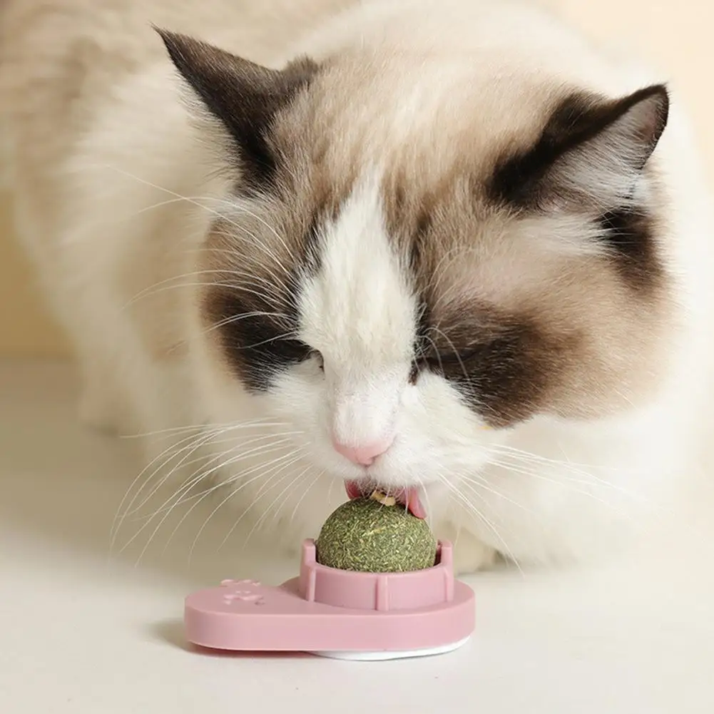 

Pet Rotary Catnip Ball Snail Shaped Licking Balls Tooth Cleaning Molar Toys Healthy Snack Toys