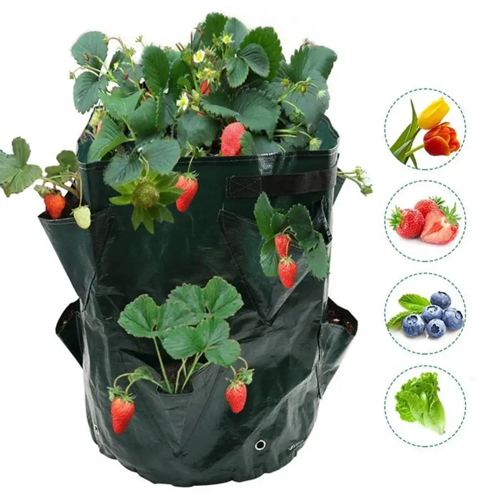 

PE Growing Bags For Vegetable Flower Herb Outdoor Planting Bag Hanging Strawberry Potato Flower Planter Bag Reusable Planter Pot