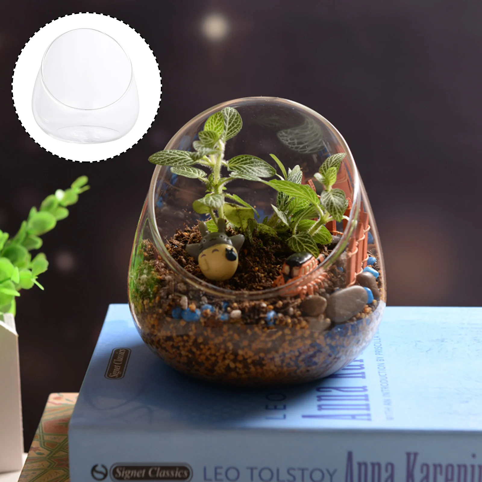 

Terrarium Glass Bowlvase Planter Bubble Slant Air Globe Cutflower Pot Succulent Holder Container Clearjar Hydroponics Slanted