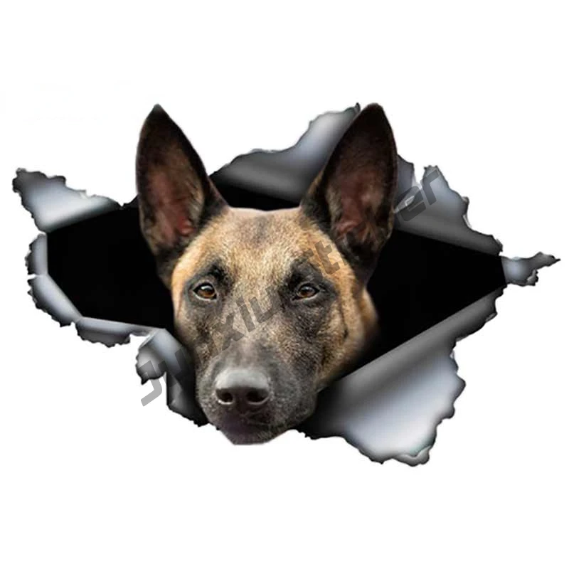 

Аксессуар для защиты от царапин на лобовое стекло, 13 х10 см