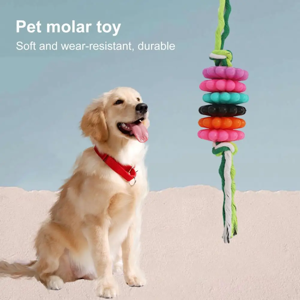 Dental Toy Pet Teething Toy Dog Toy Bundle Durable Teething 