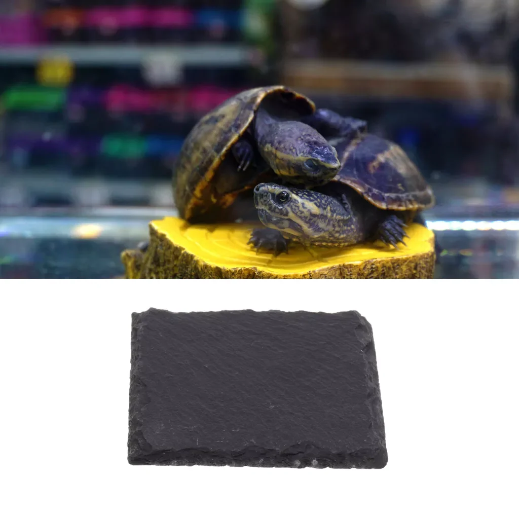 

Reptile Rock Food Dish Plate Grinding the nail Tortoise Feeding Bowl