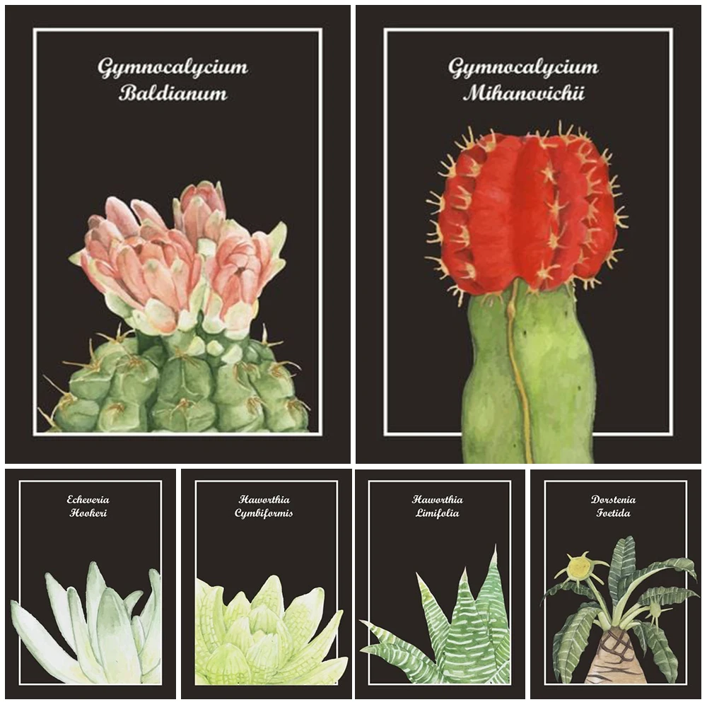 Кактус суккуленты цветок природа кактусы скандинавский постер настенная