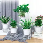 Цветочный горшок, прозрачный, двухслойный, с автоматическим впитыванием воды, для ленивых растений, 1 комплект