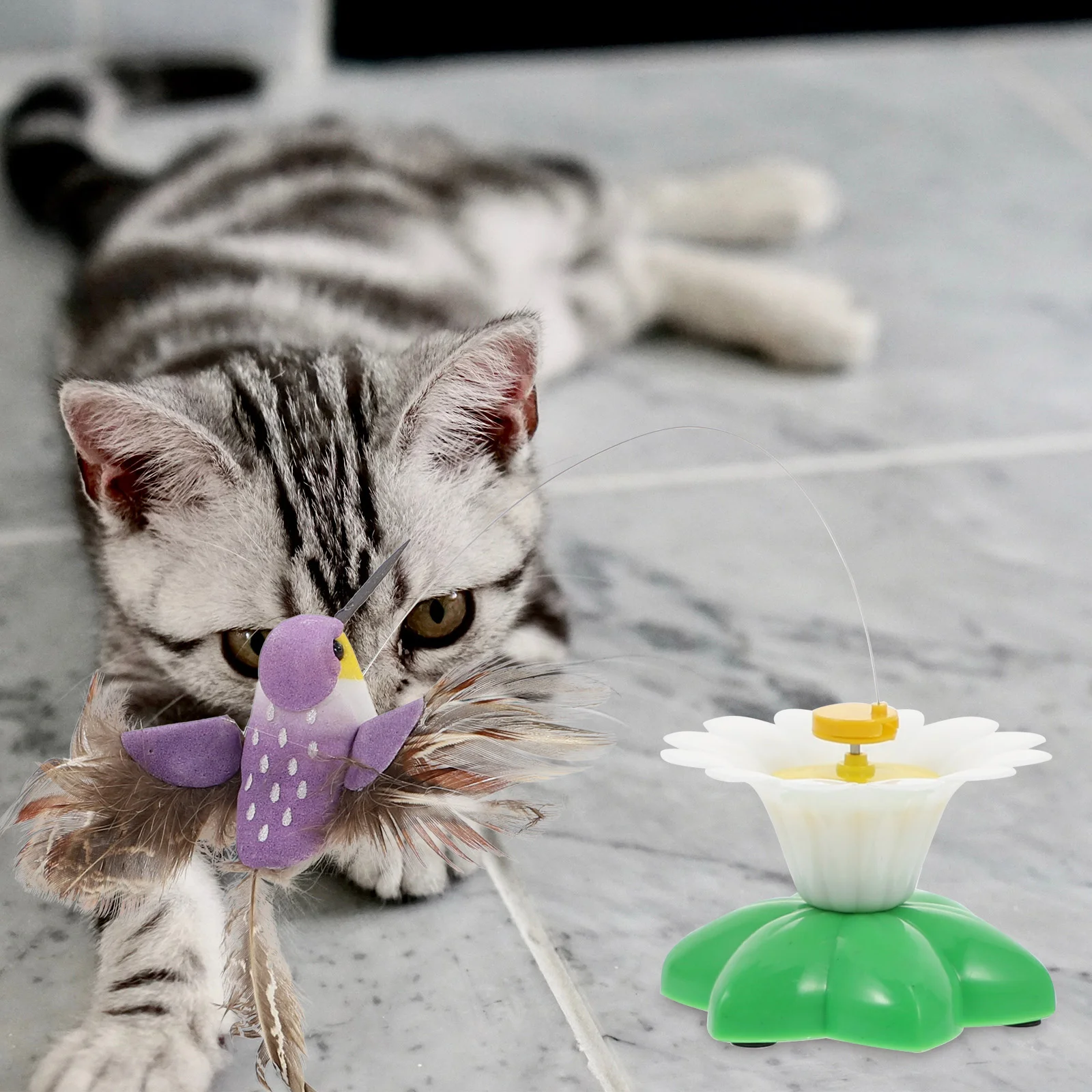 

Cat Toy Teaser Toys Cats Indoorinteractive Wand Exercise Bird Electricactivity Pet Supplies Chasing Swizzle Brain