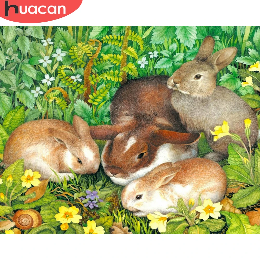 

HUACAN Oil Painting By Number Rabbit Animal Wall Art On Canvas DIY Frame Flower Picture Acrylic Home Decoration 75x60cm