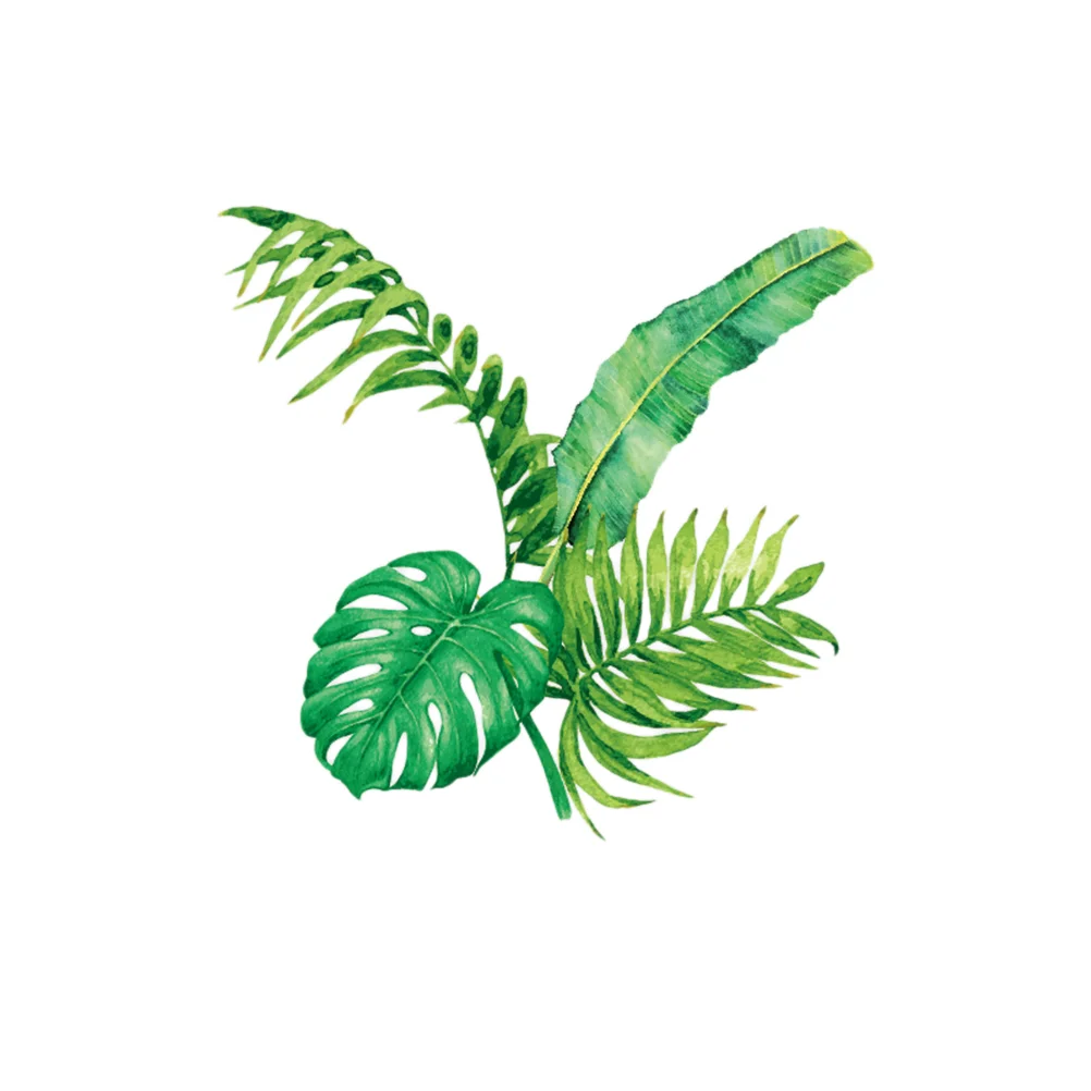 

Wall Sticky Wall Stickers Wall Stickers Kids Wall Decals Kids Wall Murals Leaves Wall Stickers Fresh Poster