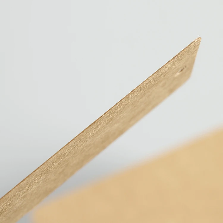 Пользовательские коричневые крафт-бумажные частные бирки для одежды подвесная