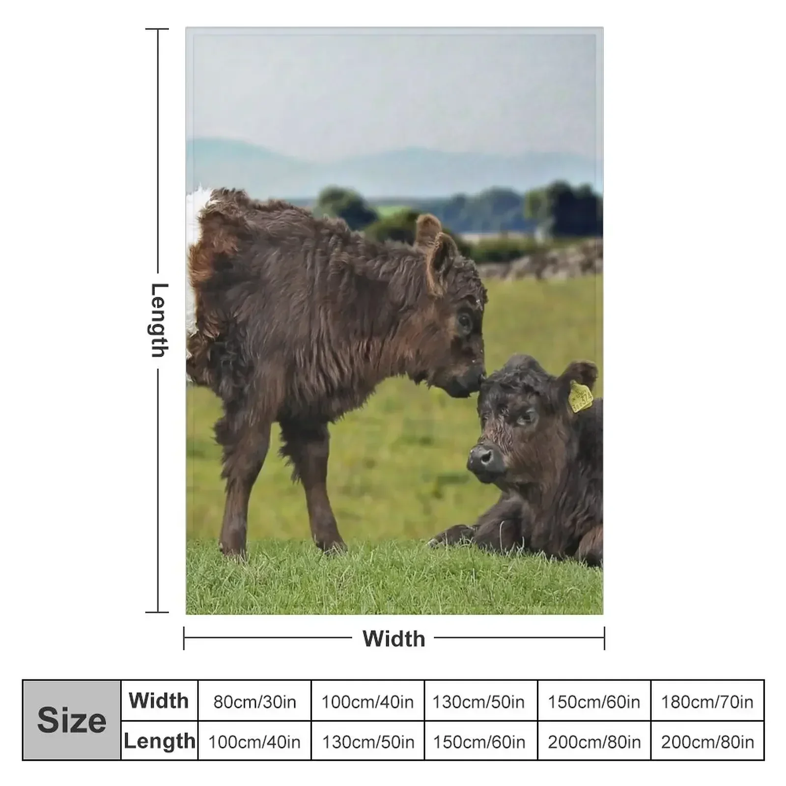 Одеяло Galloway с поясом туристические роскошные пледы и идеи подарков на День