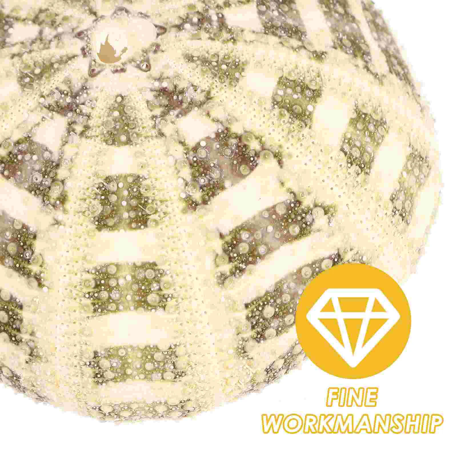 

Sea Urchin Shells Craft Sea Urchin Shells Crafts Large Green Ornaments Shell Conch Sea ​​urchin Shell Craft Ornaments Beads