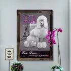 Животное, французский пудель, собака, Фотофон для домашнего декора, для паба, бара, клуба, фотография, настенная табличка 8x12 дюймов