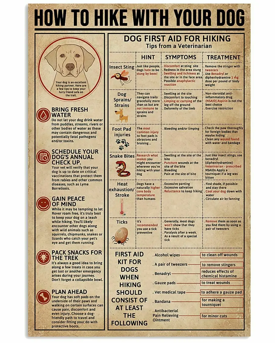 

Все, что вы знаете для похода с собакой, металлический знак, обучение для кабинета, гостиной, табличка, настенный Декор для дома