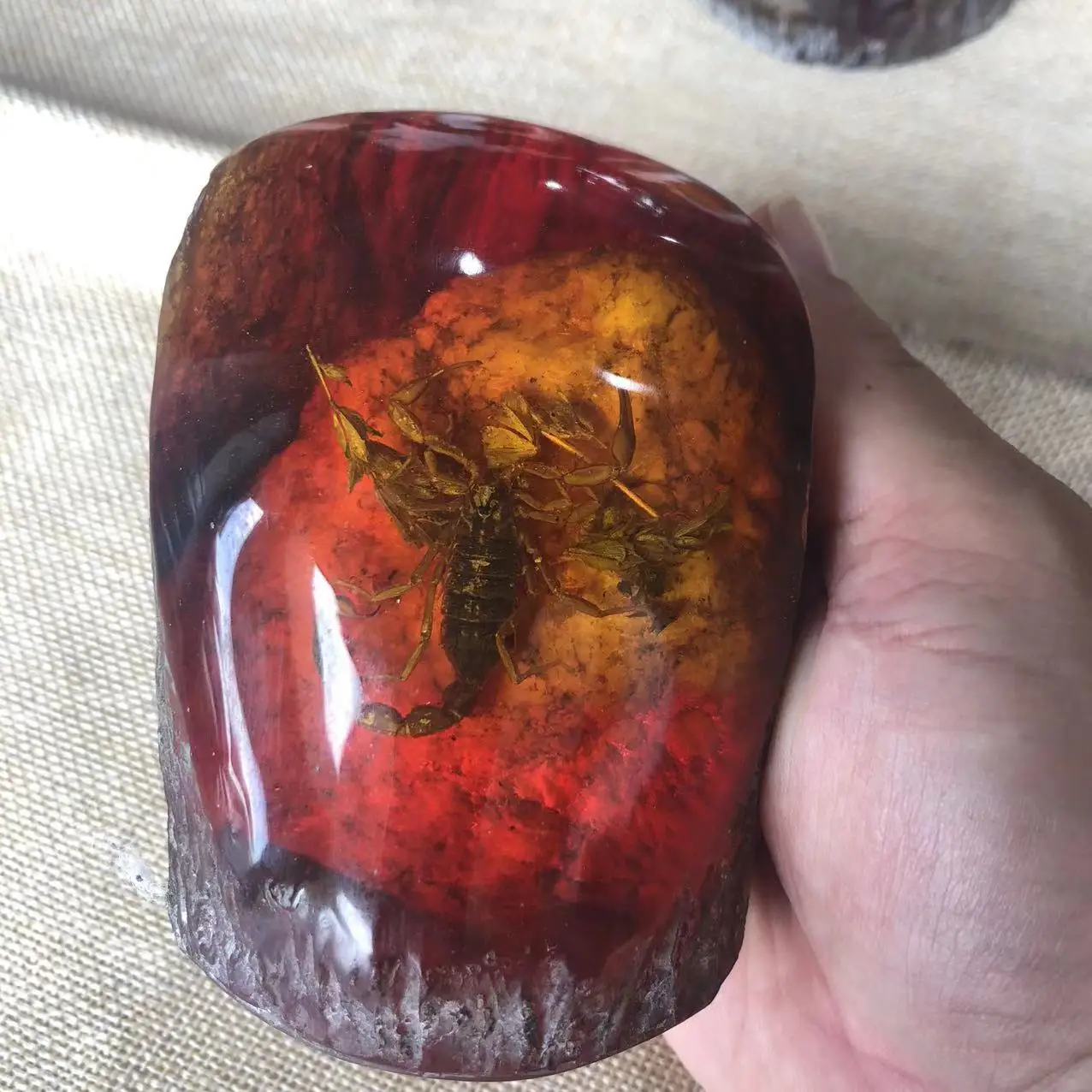 Смола ручной работы Янтарный с насекомыми Скорпион Цикада Краб бабочка образец