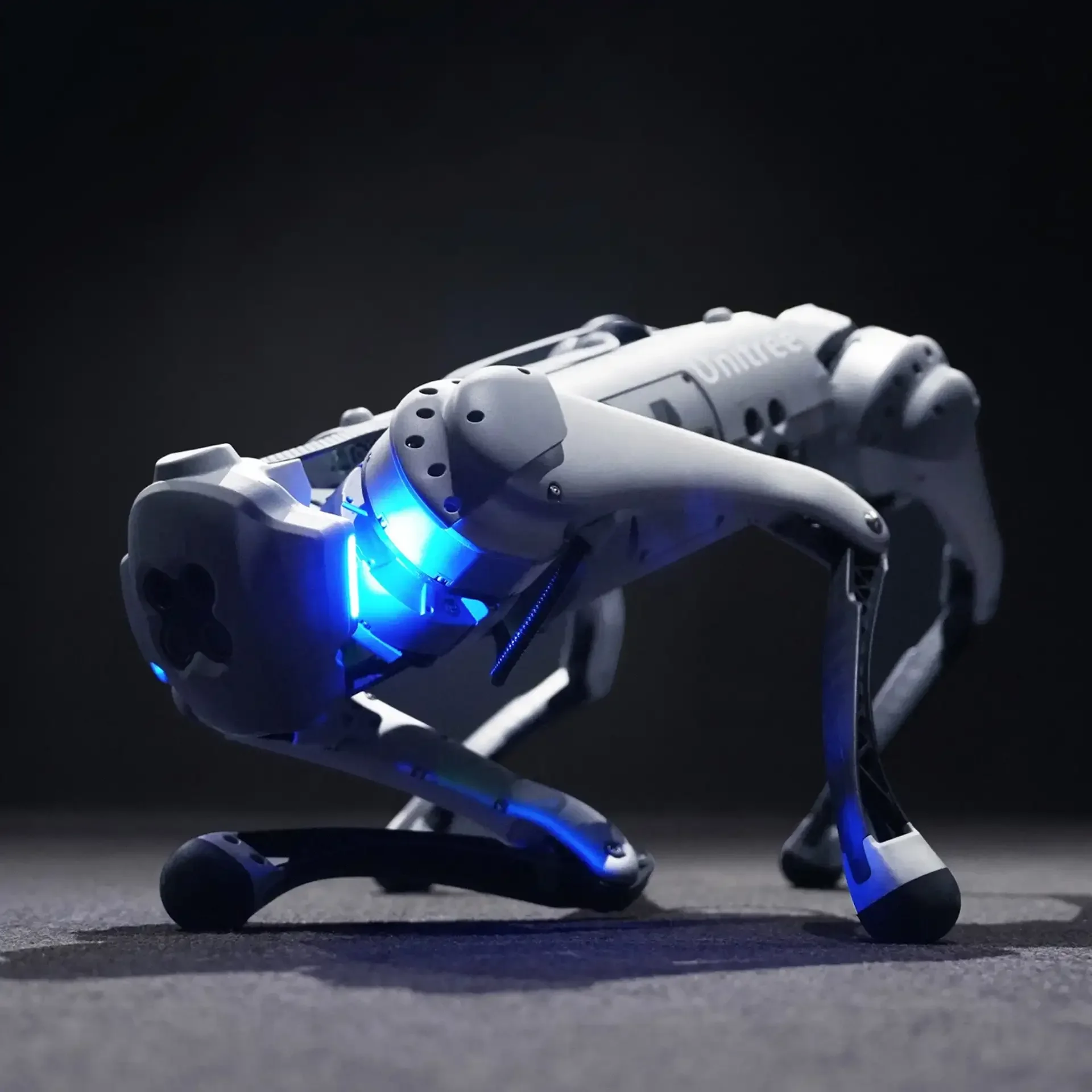 Бионический робот собака. Unitree go1 edu. Бионический четырехопорный робот unitree go2 pro. Unitree go1 edu. H1 от unitree робот.