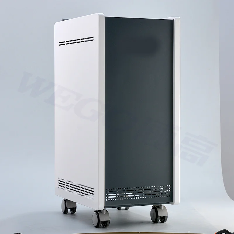WG-Y-600 Hepa Filter Air Purifier Plasma Air Sterilizer Purifier With CE Certification enlarge