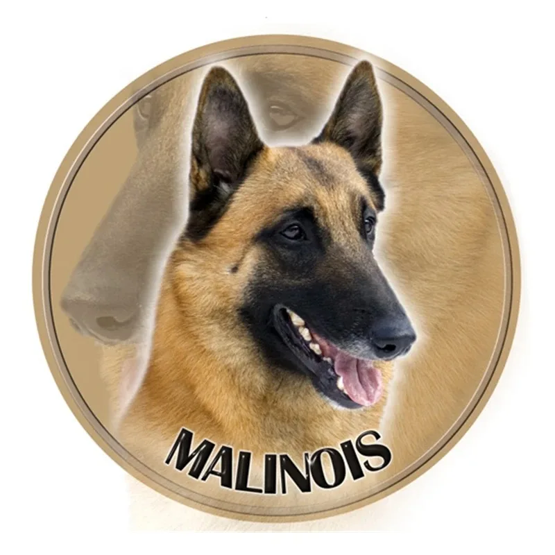 

Наклейка с бельгийской овчаркой Малинуа, автомобильная наклейка, водостойкая для бампера, заднего окна, ноутбука, холодильника, туалета, 13 см, ПВХ KK