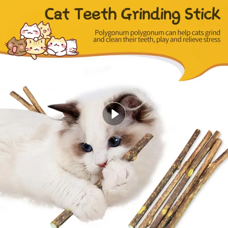 

5pcs/set Catnip Stick Natural Cat Cleaning Teeth Molar Toothpaste Stick Molar Toothpaste Stick Cleaning Teeth Pet Accessories