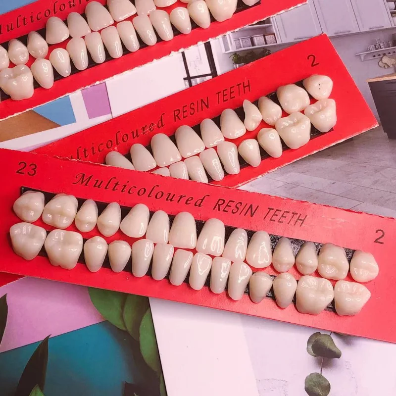 

28 Pieces/set of Universal Tooth Model Durable Denture Dental Material Dental Teaching Model Special Tooth Dental Material