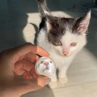 Попсокеты с питомцами внутри#1