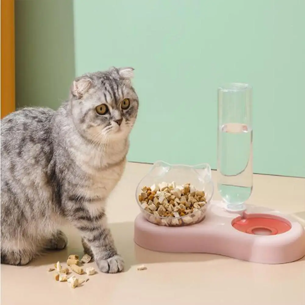 

Double Bowl With Automatic Water Feeder Stainless Steel Non-toxic Anti Wet Mouth Drinking Basin for Small and Medium Pets