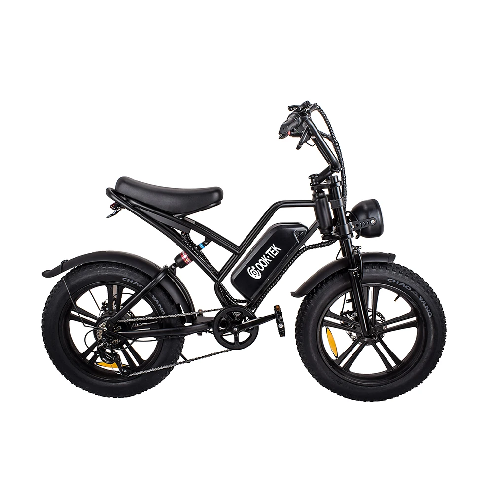 

20 Inches Snow Bike Fat Tire 750w Electric Bicycle Off-Road Vintage High-Carbon Steel Front And Rear Disc Brakes Aldult