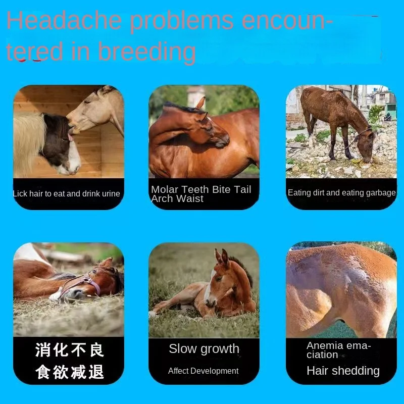 Микроэлементы для домашнего скота и птицы кормовые добавки лошадей свиней pica