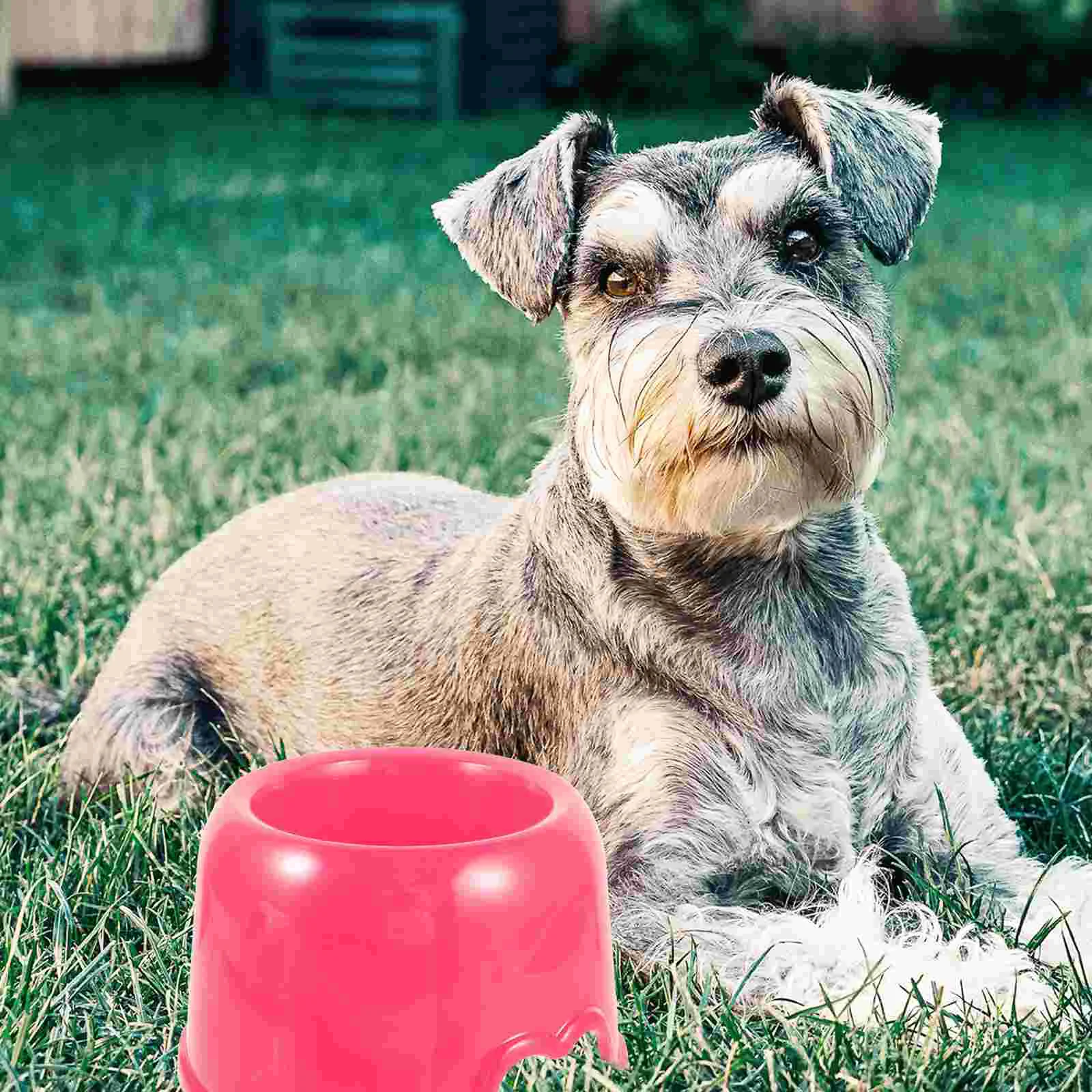 

Bowls Bowl Dog Rabbit Food Plastic Water Puppy Pet Cat Dogs Puppies Set