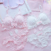 japanese sexy girls underwear bras brief panties cute sweet rabbit ears sexy lingerie for small chest bra and panty set pink new