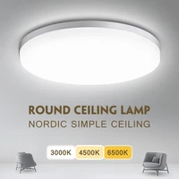 modern round acrylic ceiling light panel surface lamp for kitchen stairs living room home decor 110v 220v lustre indoor lighting