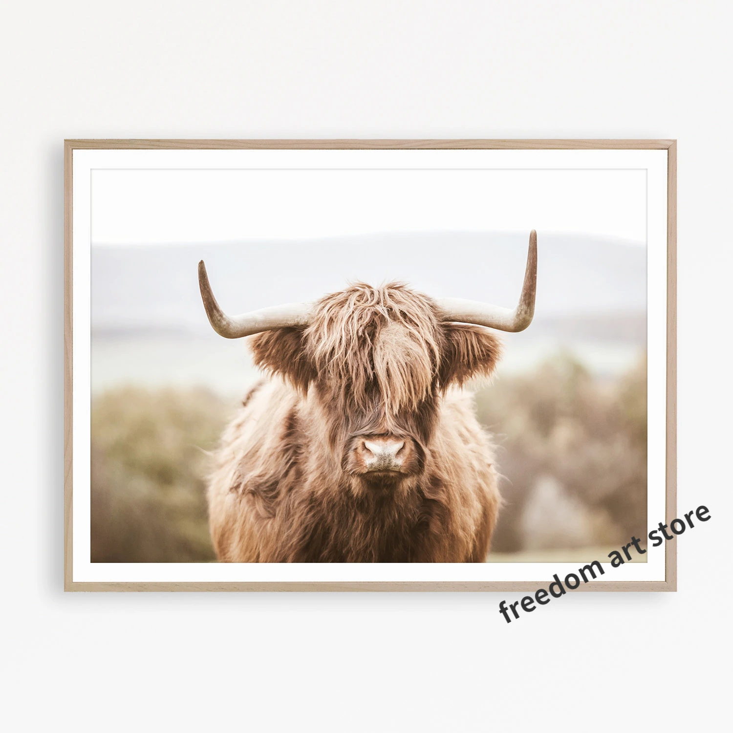 Художественные постеры Highland корова на холсте