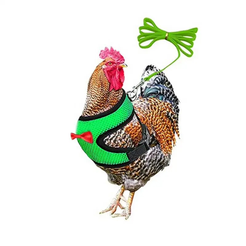 Pet Duck Chicken Poultry Chicken Clothes Chicken Vest Hen Belt Pet Harness Matching Collars Bow Poultry Supplies