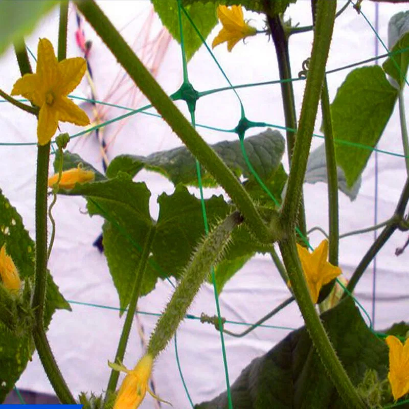 Высококачественная многоразовая сетка для подъема садовых растений по низкой