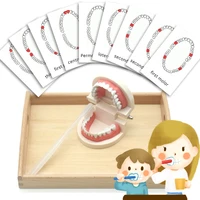montessori toys sensory toys brushing teeth exercise wooden tray set educational toys juguetes montessori material mc0164h